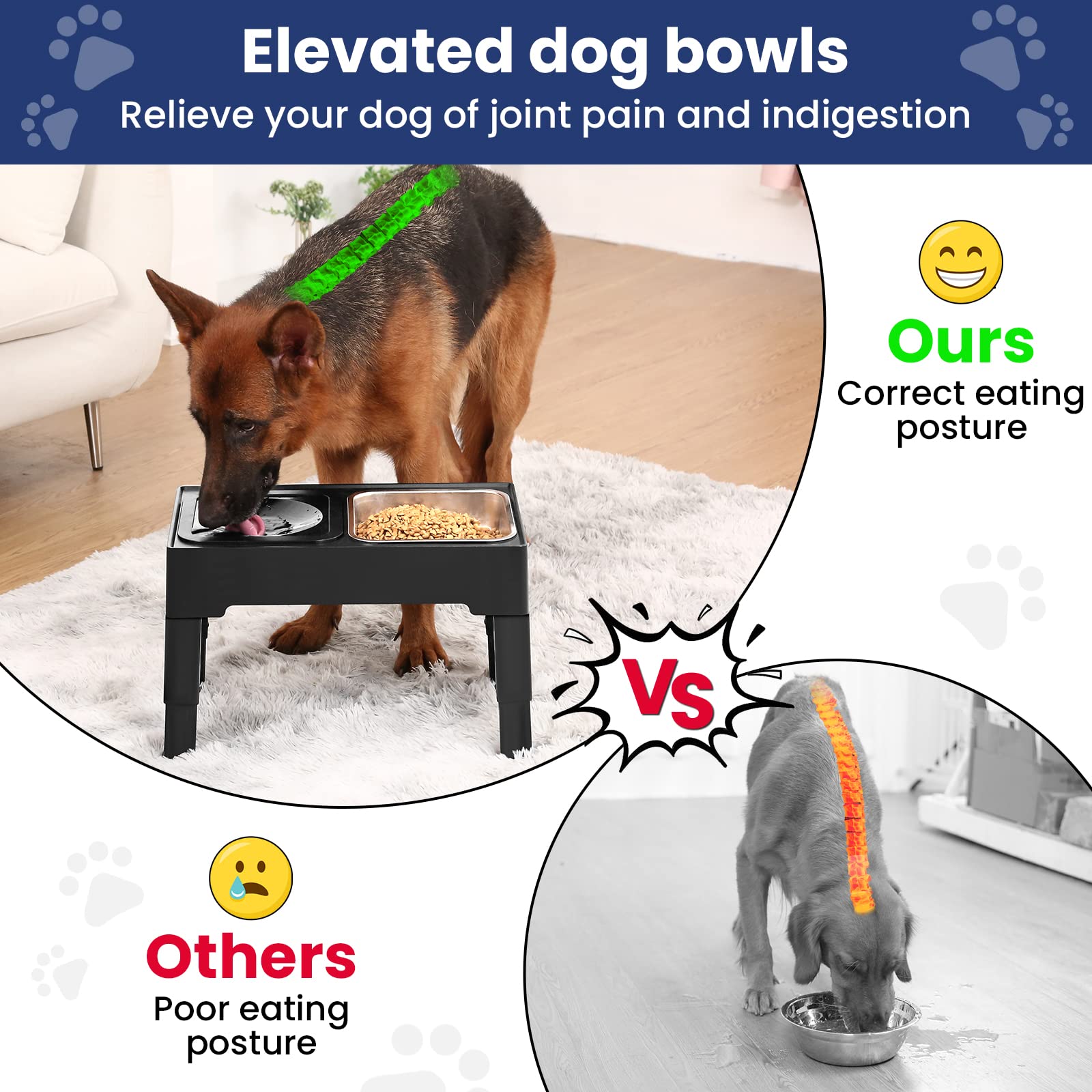 PETTOM Porte Gamelle Chien Surélevée Réglable avec Double Bol | 4 Hauteurs, Bol Eau Anti Éclaboussure, Bol Inox, Pieds Antidérapants, Structure Pliable, Lave-vaisselle
