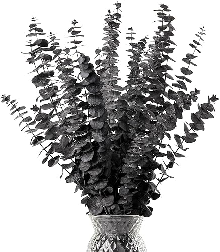 Miniatura 10 de HIAGROW Tallos de eucalipto real 20 hojas de eucalipto secas de 17 pulgadas, decoración de eucalipto natural, decoración de primavera para bodas,