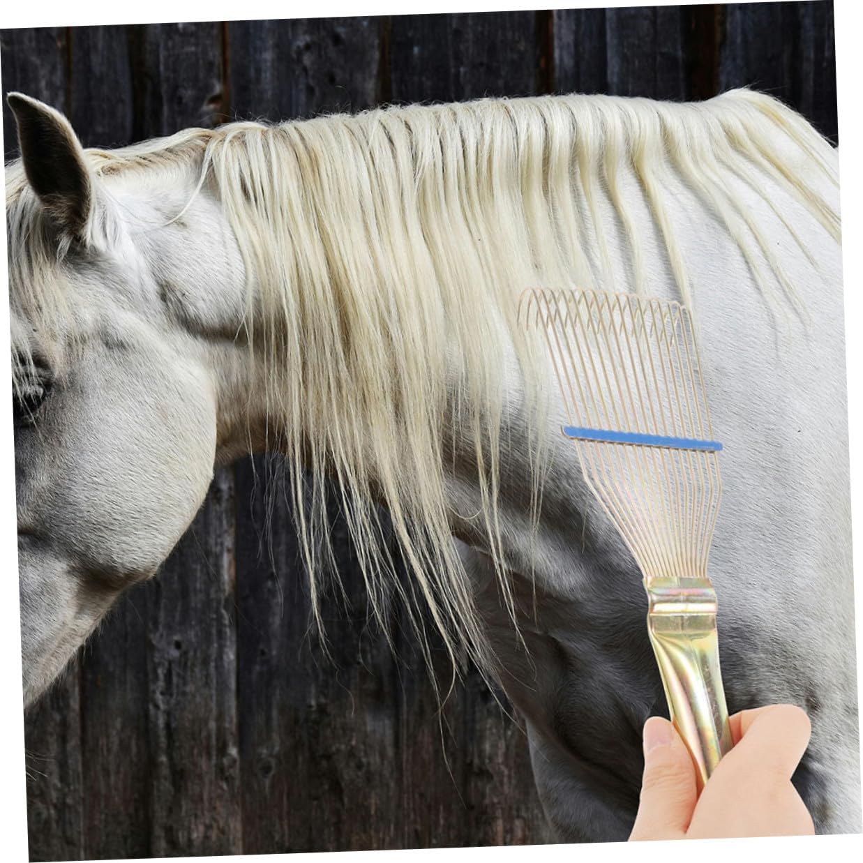 VICASKY 2pcs Livestock Wool Rake Steel Teeth Grooming Brush for Sheep and Cattle Shedding Detangling Tool for Farm Use 23cm Small Yellow Wool Comb