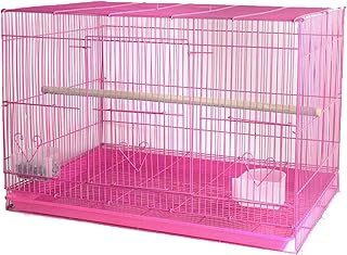 parrot pinjra price