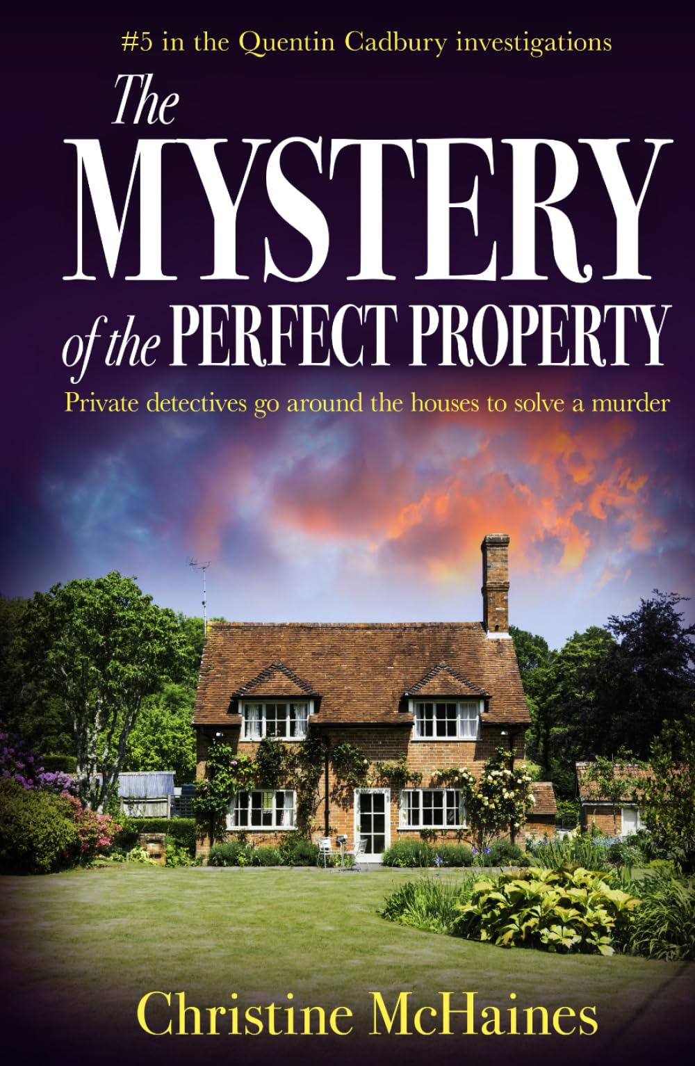 The Mystery of the Perfect Property: Private detectives go around the houses to solve a murder (The Quentin Cadbury Investigations)