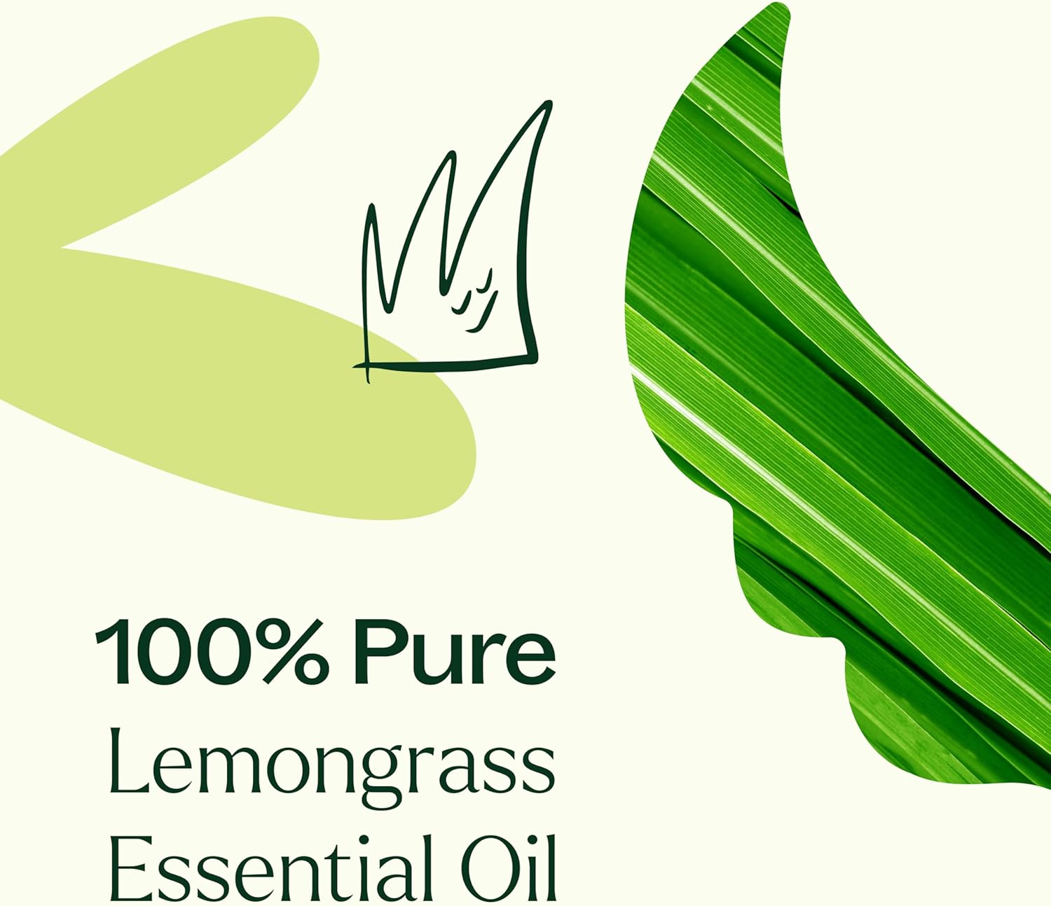 Plant Therapy Lemongrass Essential Oil 100 mL (3.3 oz), 100% Pure, Undiluted, Aromatherapy, Deodorizing, and Immune Support - Image 5