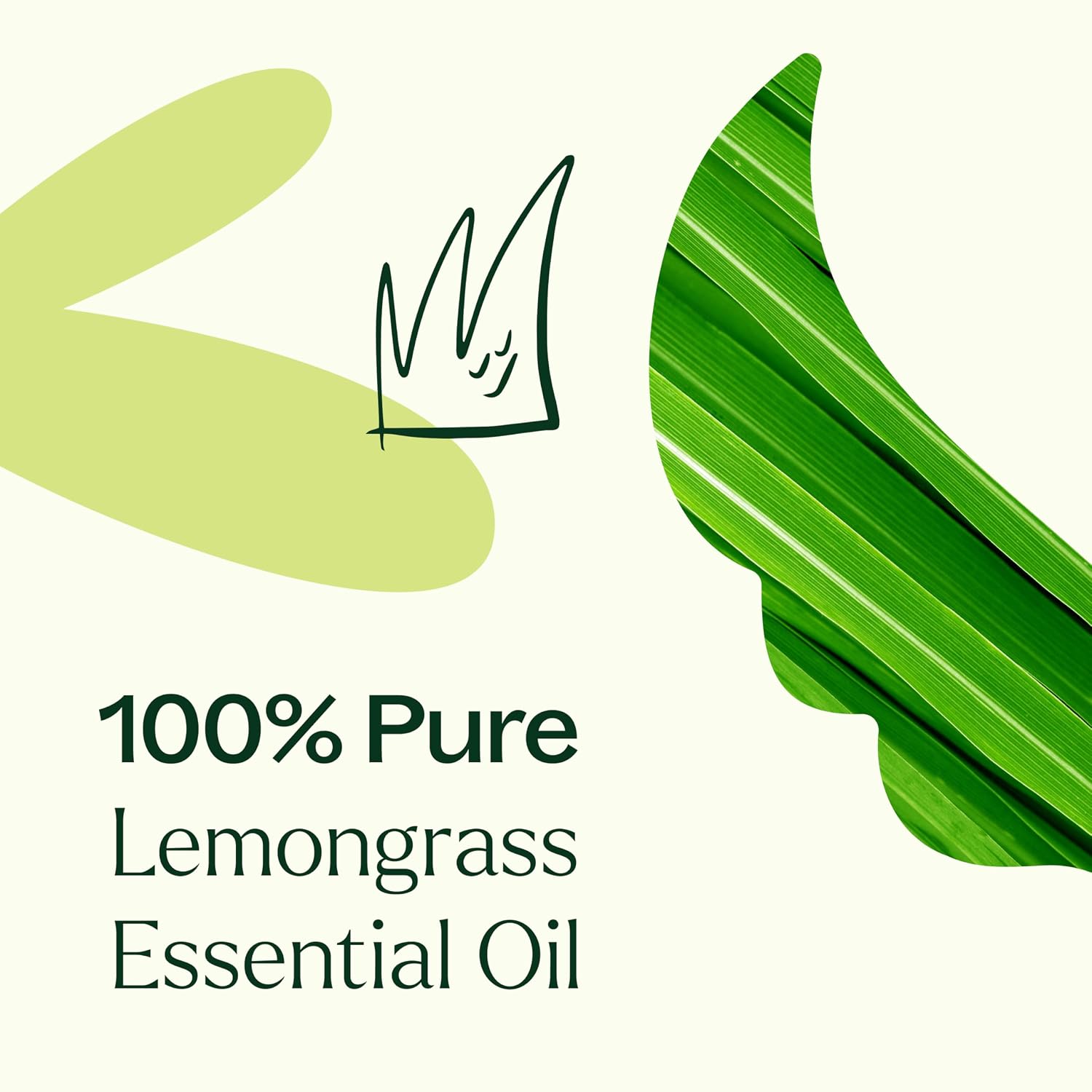 Plant Therapy Organic Lemongrass Essential Oil 10 mL (1/3 oz), 100% Pure, USDA Certified Organic, Undiluted, Aromatherapy, Deodorizing, and Immune Support