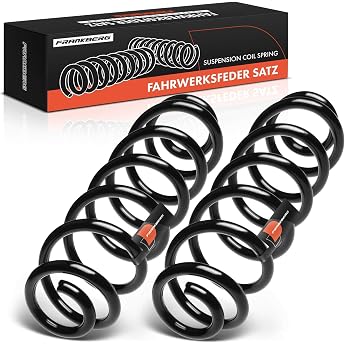 Frankberg 3C0511115AF Suspension Spring Rear Axle Set of 2