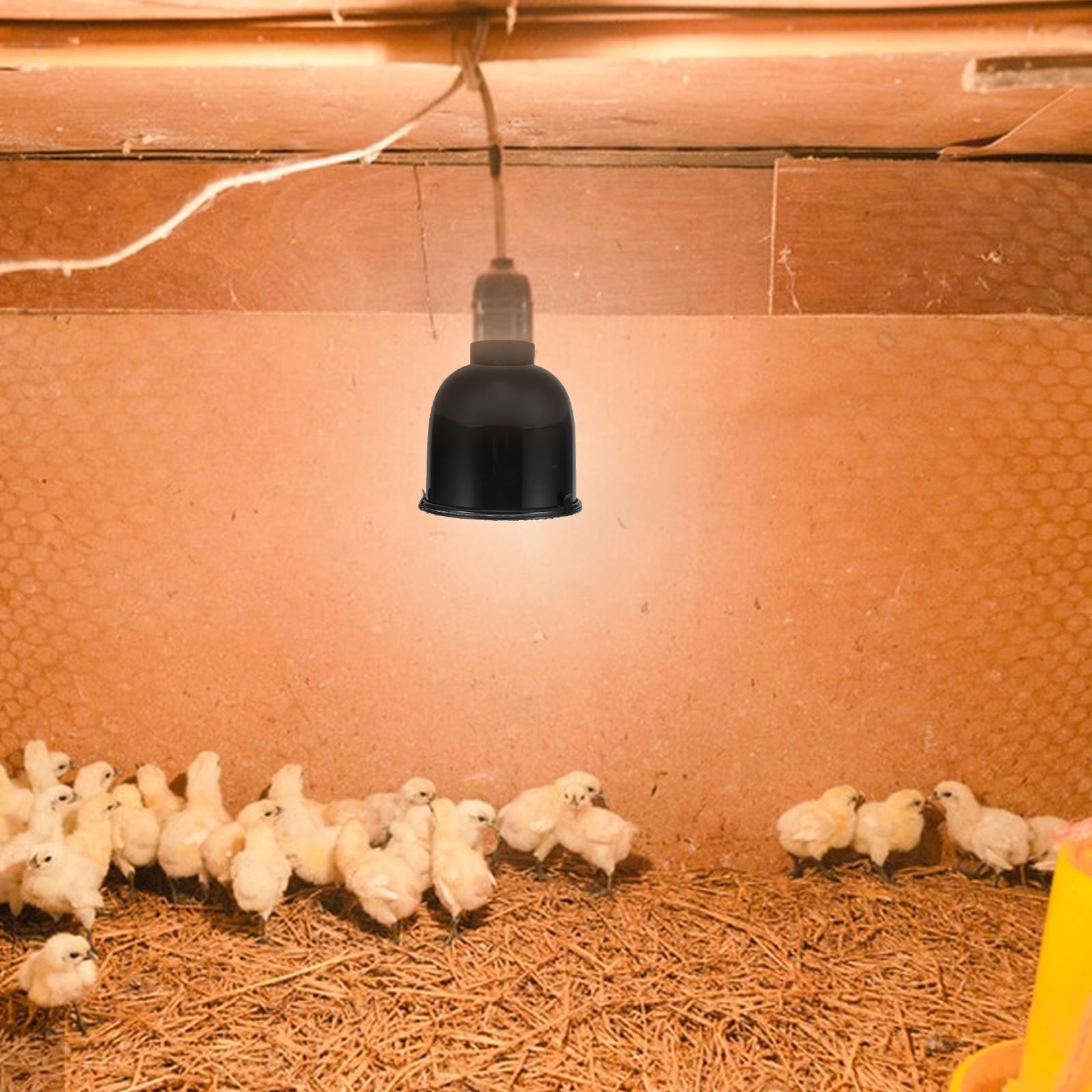 Levemolo Protezione Antiscottatura per Lampada Riscaldante Rettili e Pollame, Paralume Rete Resistente per Terrari e Pollai, Copertura Sicurezza Riflettore Termico, Set 4 Pezzi