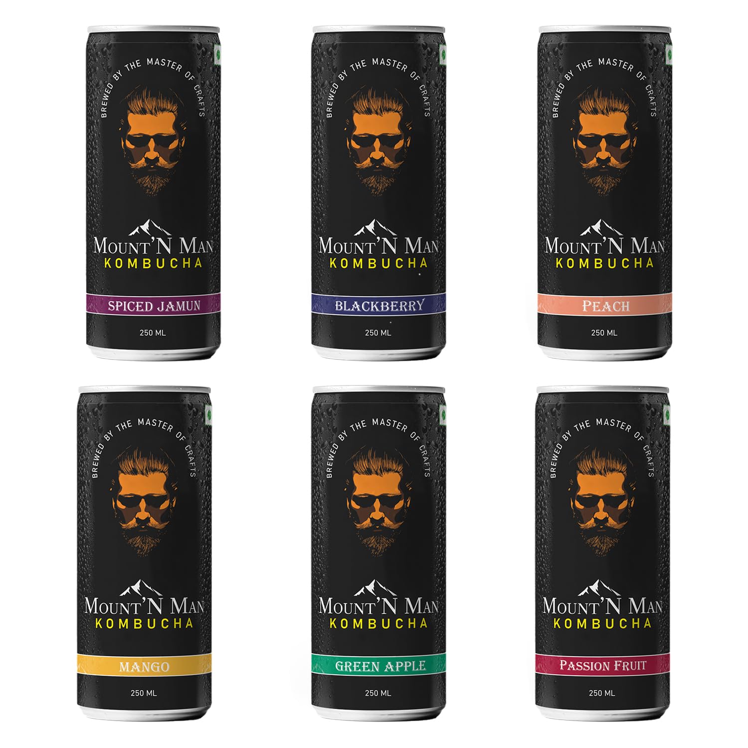 Mount’N Man (by Raw Kombucha) Naturally Fermented, Unpasteurised Kombucha Tea Assorted Pack, Spiced Jamun, Peach, Blackberry, Mango, Passion Fruit and Green Apple, Vegan, 250ml, Pack of 24 (B0D7SZSNCS) Amazon Price History, Amazon Price Tracker