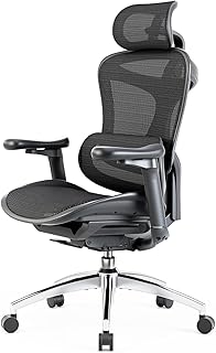 ErgoChair Pro