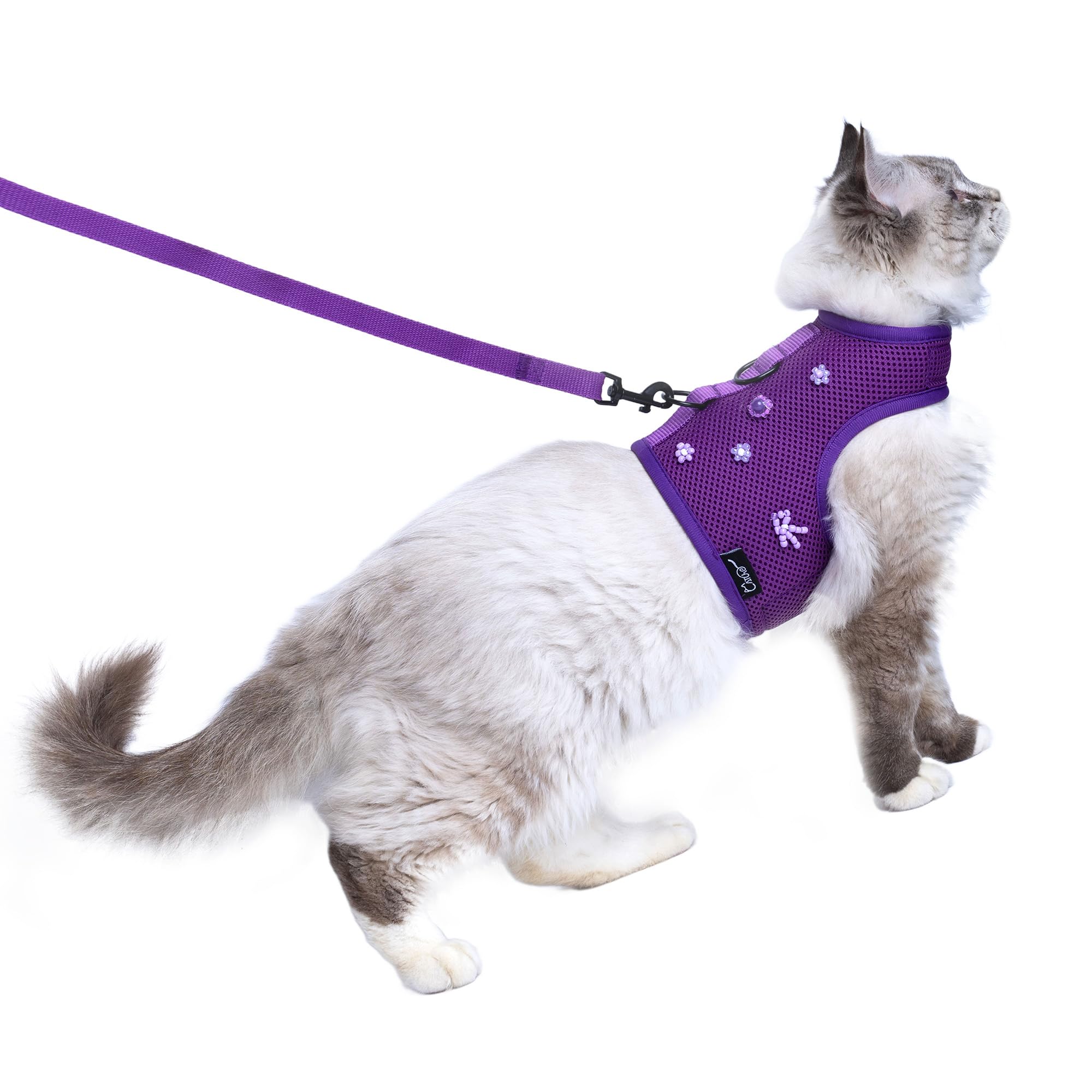Cat Harness and Leash Set for Walking Escape Proof, Purple, Medium