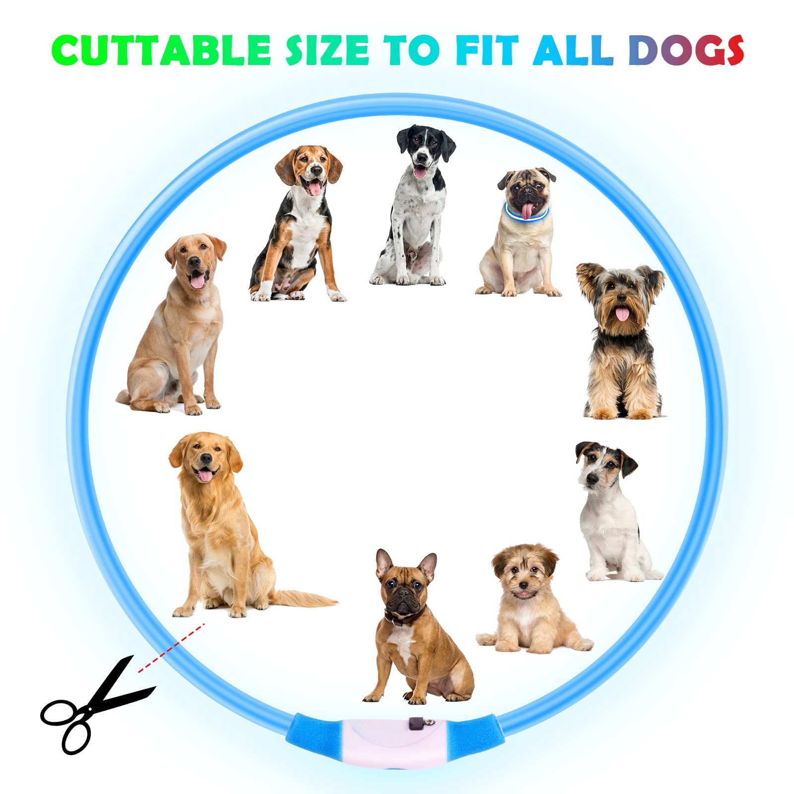 AUAUY Collare Luminoso per Cani, Collare per Animali Domestico LED Ricaricabile USB, Collare di Lunghezza Regolabile Impermeabile per Cani di Taglia Piccola Media Grande e Gatti (Blu)