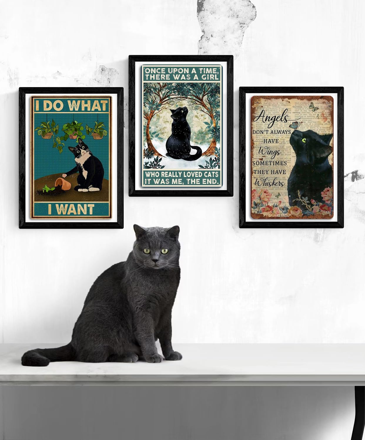 Targa In Metallo Vintage Con Gatto Nero. 'Once Upon A Time There Was A