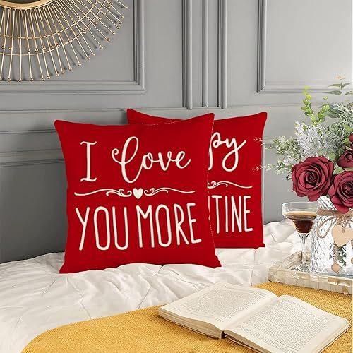Miniatura 4 de RABUSOFA Juego de 4 fundas de almohada de San Valentín con diseño de gnomo Love Love de 16 x 16 pulgadas, con texto en inglés "I Love You More" (36)