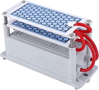 Generador de Ozono 220V 10G, Ozonizador Dispositivo de Ozono Limpieza Integrada Placas Cerámicas Limpiador de Olores, para Secadoras Refrigeradores Purificador de Aire Hogar (220V)