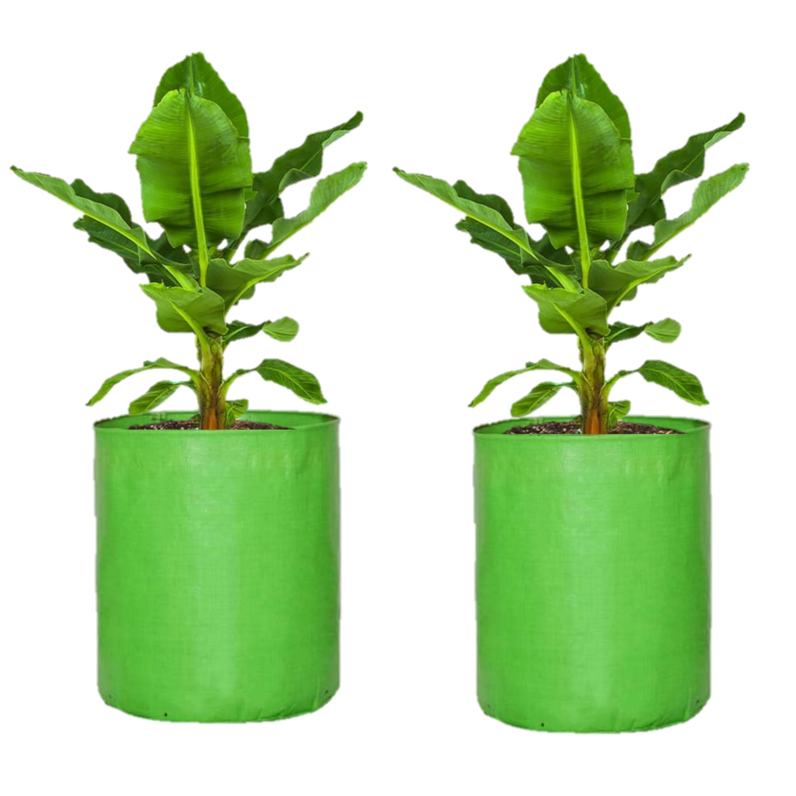 Grow Bags for Vegetables & Flowers - DIYAGREEN -11
