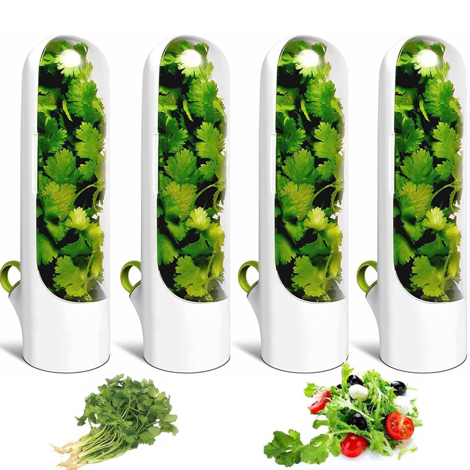 BAISE 4Pcs Vanilla Fresh Keeping Cup, Premium Herb Refrigerator Storage, Reusable Cilantro Containers for Refrigerator, Herb Keeper for Storage Mint,