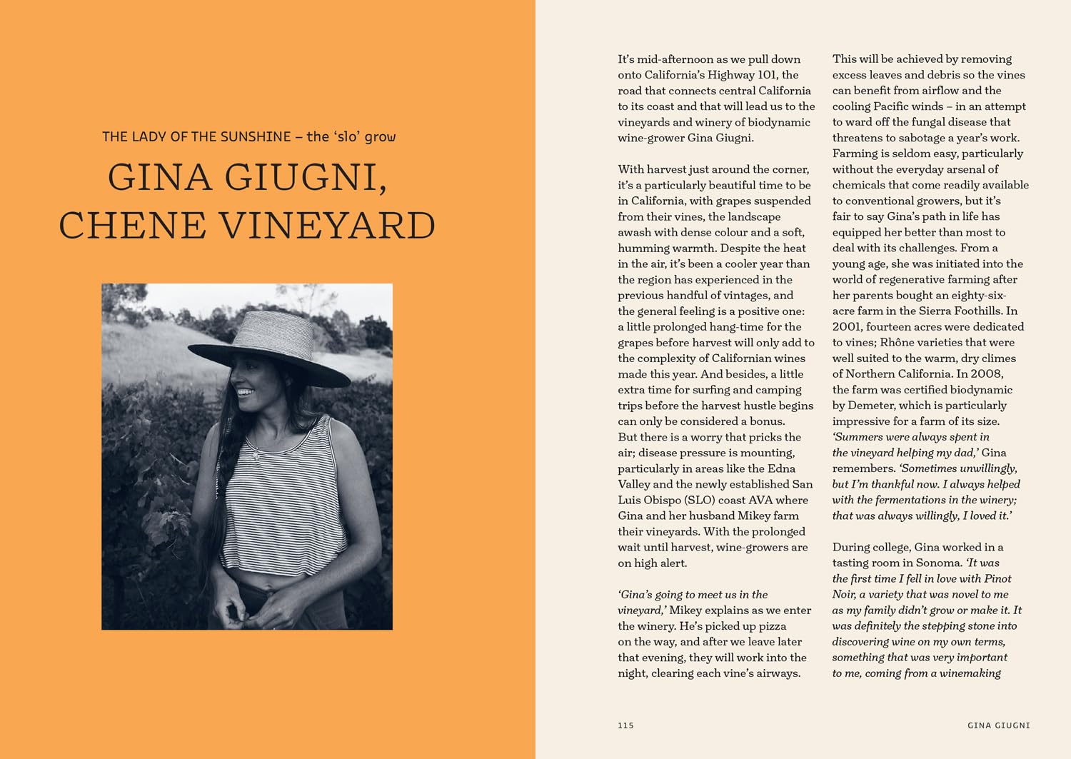 Natural Wine, No Drama: The ultimate guide to low intervention wine, with tasting notes from the award-winning sommelier