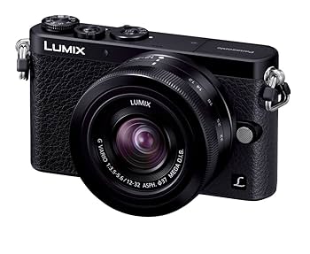 ☆美品☆LUMIX GM DMC-GM1SK ダブルズームレンズ セット