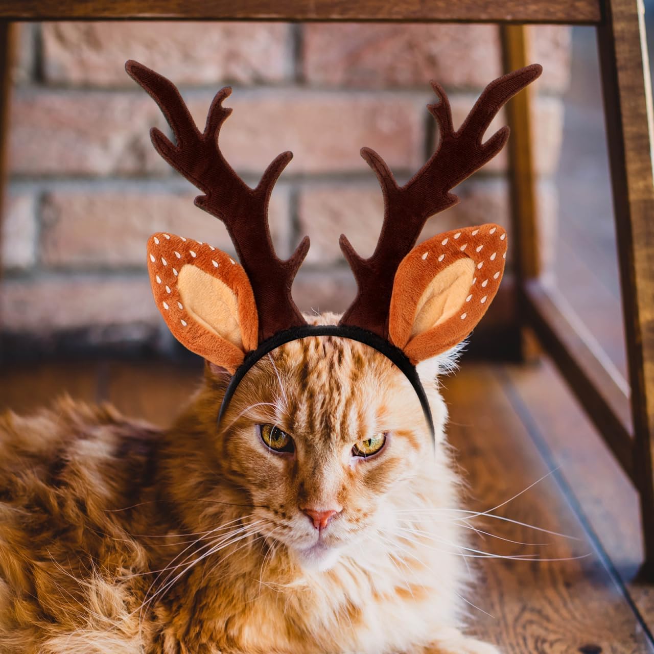 Hemobllo Dog Christmas Headband Cat Reindeer Antlers Classic Adjustable Elk Hat Headwear for Cats and Kittens Comfortable Non-deformable Dog Antler Headband for Holiday Photography - Size M