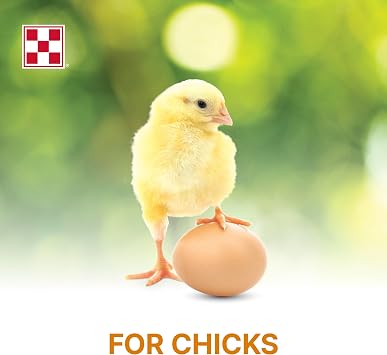 Purina Start and Grow | Non-Medicated Chick Feed Crumbles | Nutritionally Complete - 25 Pound (25 lb.) Bag