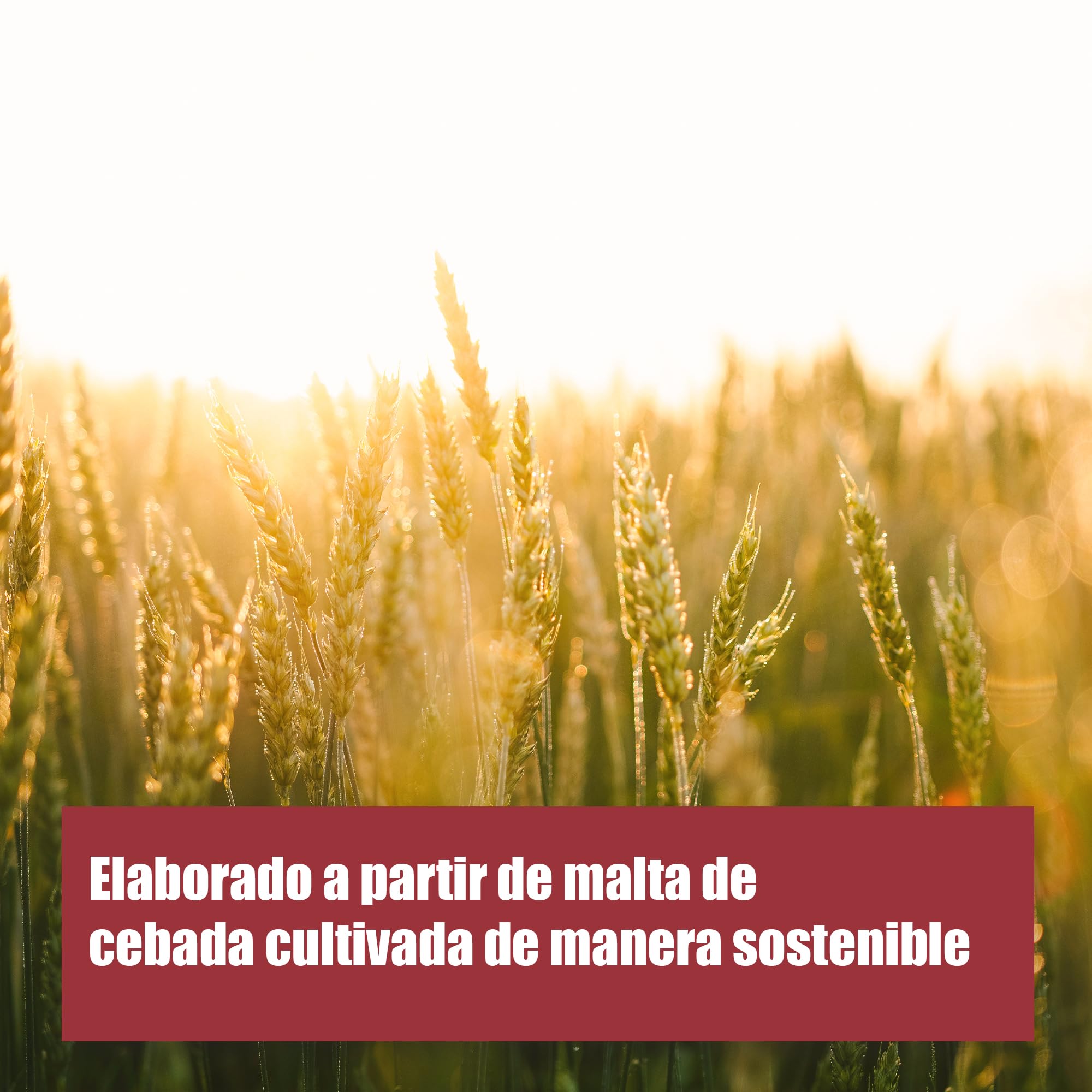 Chikko Not Coffee BIO Cebada Café Instantáneo 150g - Café de cebada tostada - Alternativa al café descafeinado - Sin aditivos ni productos químicos - 100% Producto europeo