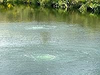 Review Image by David Elmore David Elmore