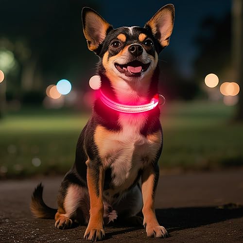 Miniatura 9 de Candofly Collar de perro iluminado  Collar de perro LED recargable  Collar de cachorro brillante con luces para pasear por la noche (XS, verde neón)