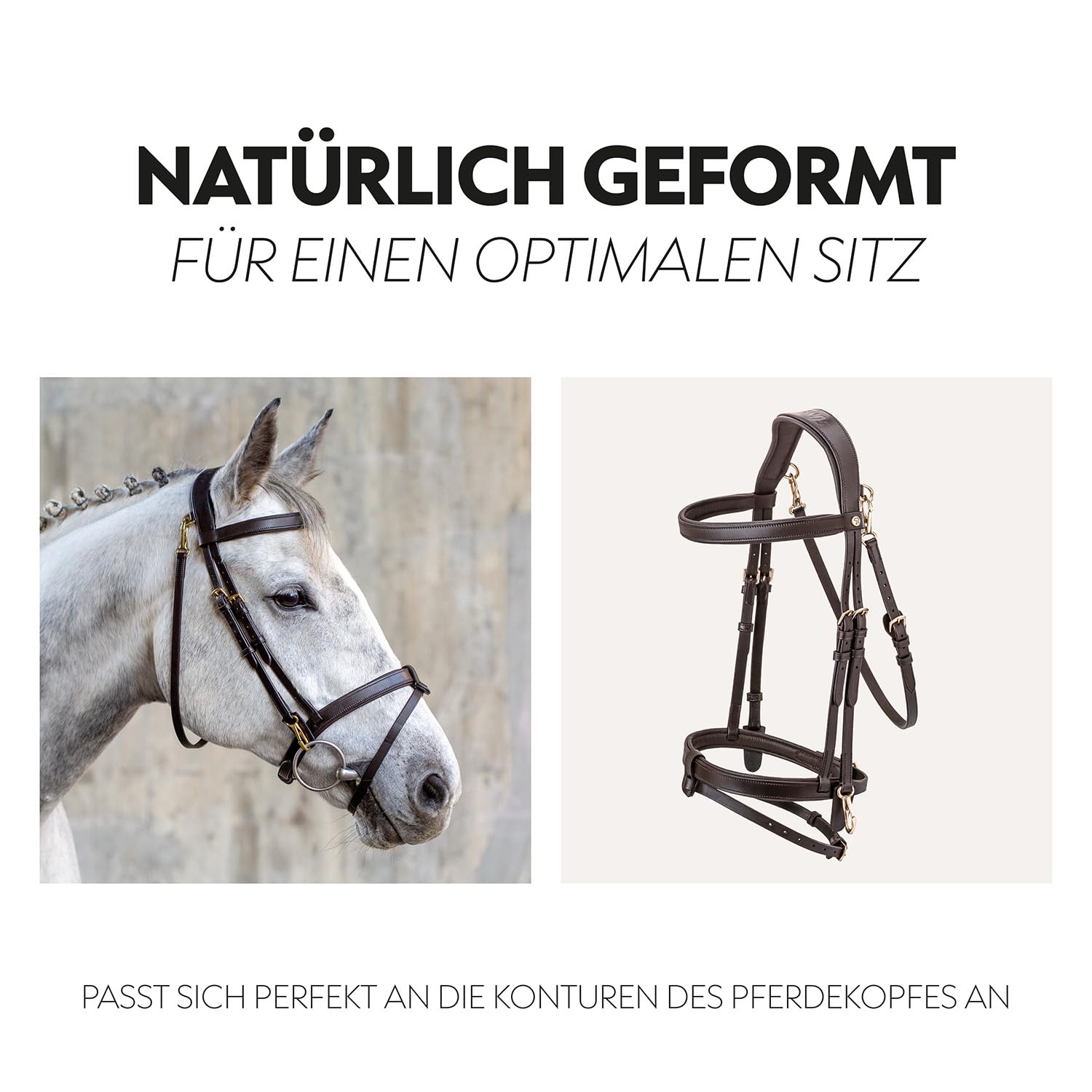 SUNRIDE Brida combinada Inglesa para Caballos (Berlín) – con riendas – Cuero auténtico Suave – Acolchado Extra – anatómica, Ajustable – Click&Ride – Hecha a Mano – Inoxidable(COB, marrón)