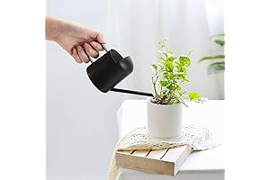LINGSFIRE: An Oasis for Indoor Botanists in a Miniature Watering Can