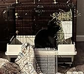 Review Image by Jen Jen