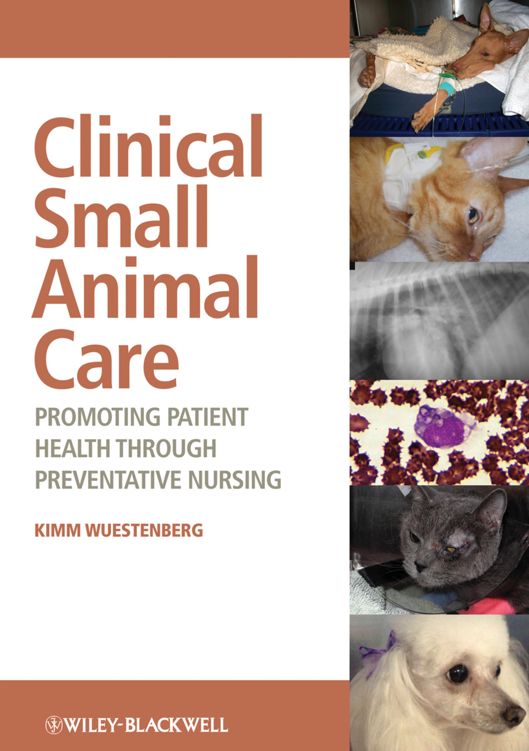 Clinical Small Animal Care: Promoting Patient Health through Preventative Nursing Paperback – 16 March 2012