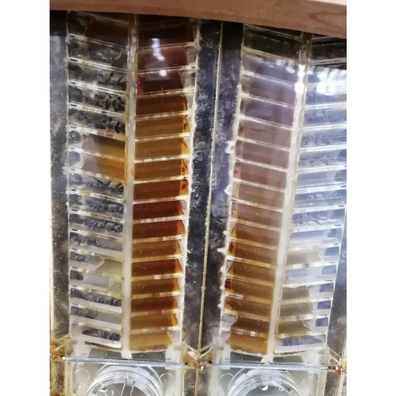Automatisches Bienenstockhaus-Set aus Holz, 7-teilig, automatischer Bienenstock-Rahmen für den Anfang, Honigfluss, Honigbox, Kunststoff-Nestrahmen, Imkerhaus