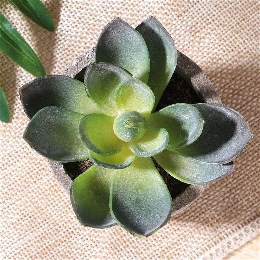 3pcs Decorativo Faux succulente Flower Pot Vaso Macetas Planter Artificiale succulente Falso Simulazione Piante con pentole