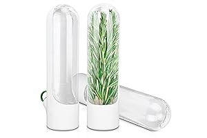 3Pcs Herb Storage Containers for Refrigerator