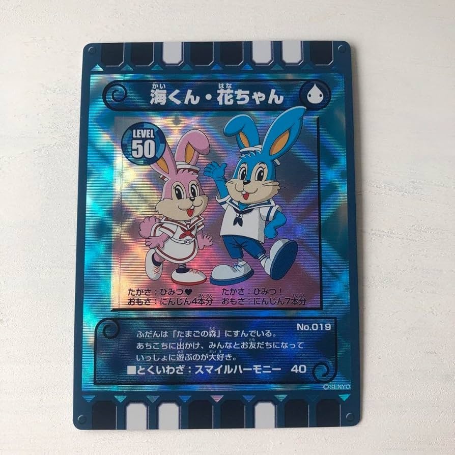 ぐるり森 廃盤激レア ひたち海浜公園 浴衣 海くん 花ちゃん コッキー&モスモス ぐるり森 廃盤激レア ひたち海浜公園 浴衣 海くん 花ちゃん
