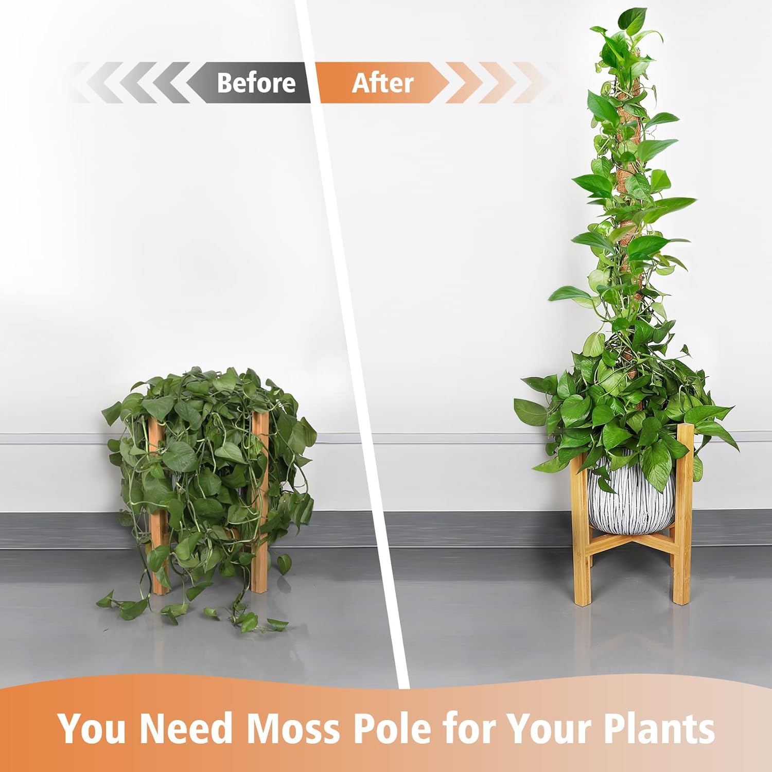 JJGoo Moss Pole for Plants Monstera,【8 Pack】 23.6 inch Plant Support Pole, Extendable Coir Totem Pole for Potted Plants Pothos, Train Indoor Climbing Plants to Grow Upwards