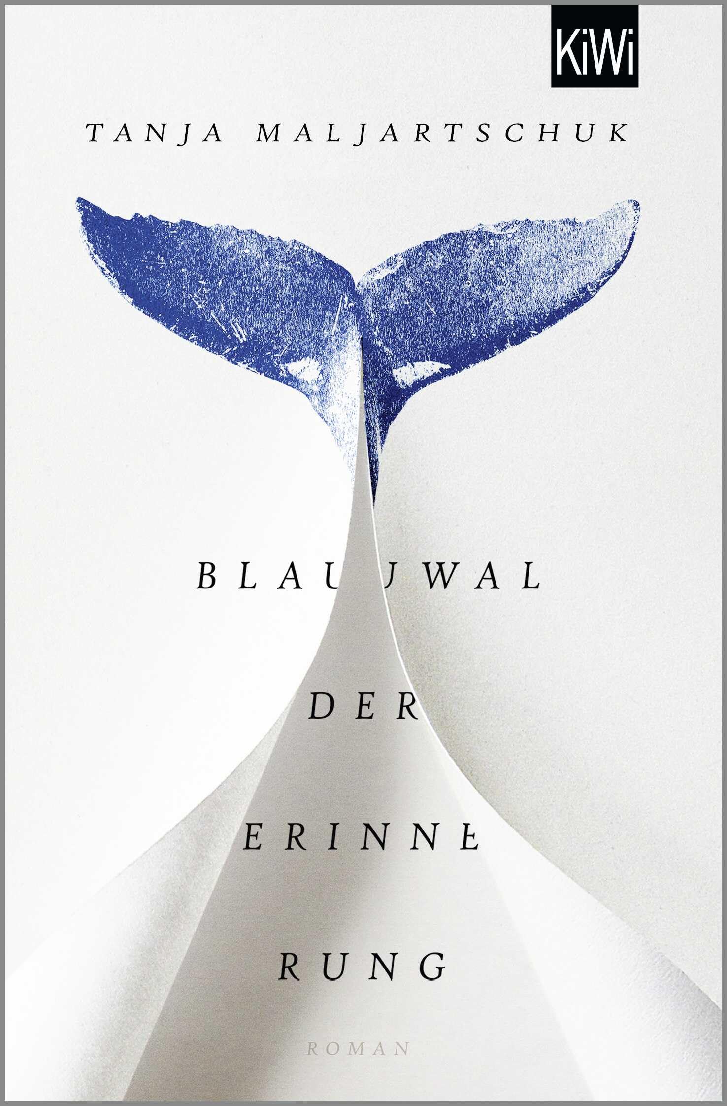 Blauwal der Erinnerung: Roman