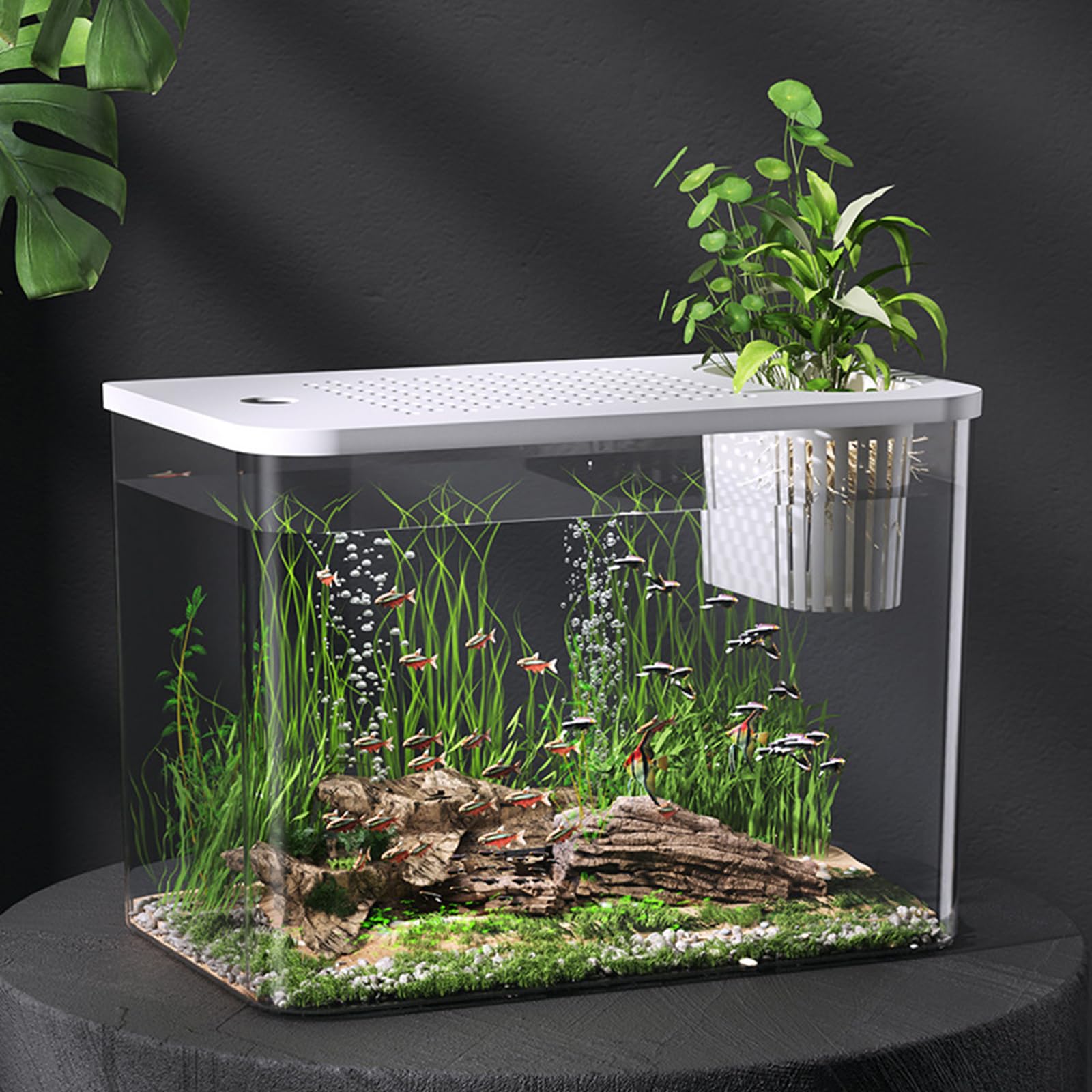 Modernes Leckdichtes Aquarium Mit Kindlich Sicherer Deckel Und Pflanzenhalter Home Office Desktop Fisch Lebensraum Ökologische Fischtanks