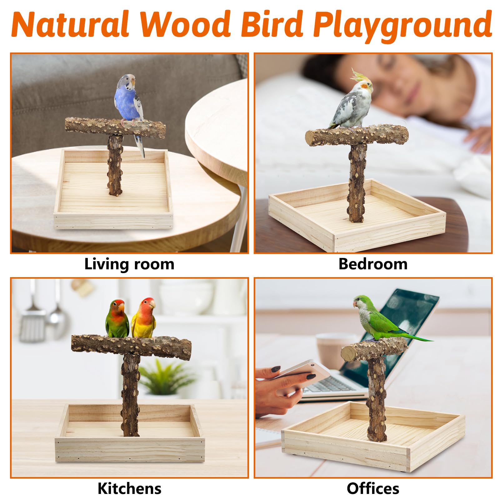 BNOSDM Portable Bird Perch Stand with Potty Tray, Natural Wood Tabletop Training Gym Parrot Playground Toy for Budgies, Cockatiels, Lovebirds,Conures - image 8