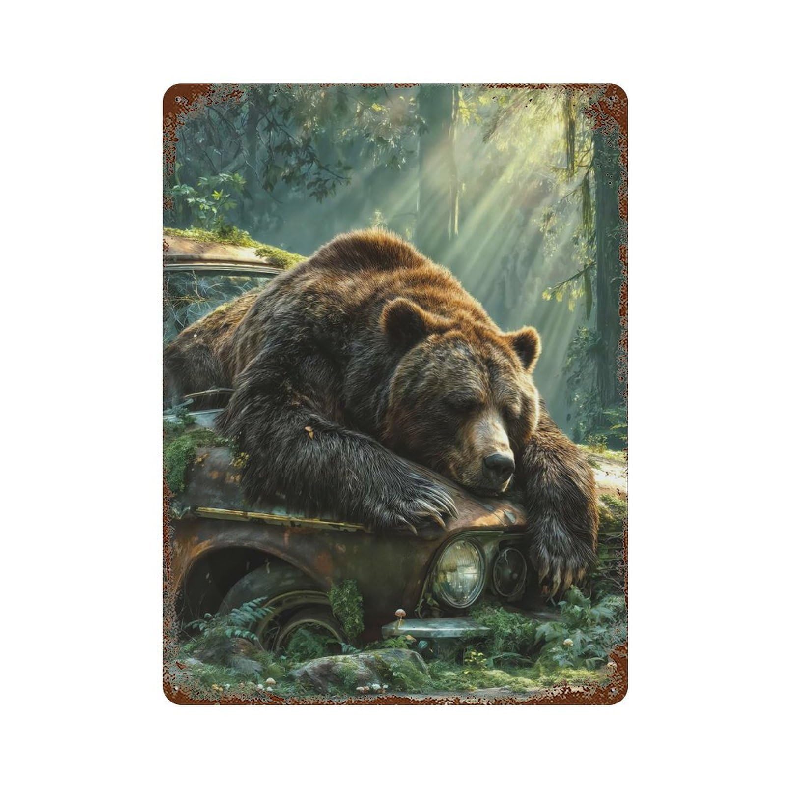 Peaceful Bear On Mossy Car Vintage Metal Tin Sign 15.7"x11.8", Ideal for Shed, Workshop And Garage Wall Decor