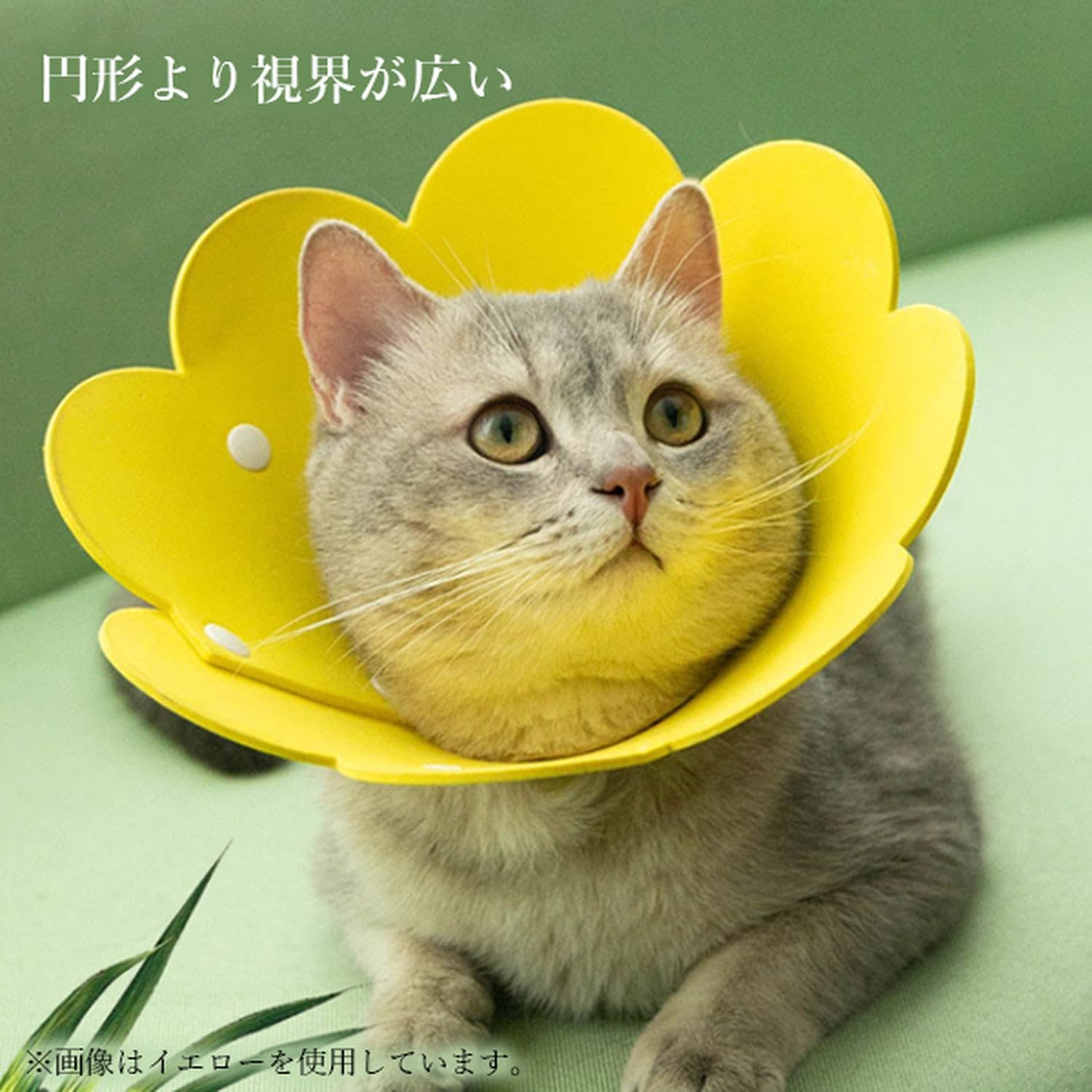 Amazon | 【獣医推薦】エリザベスカラー ソフト 猫用 小型犬用ペット