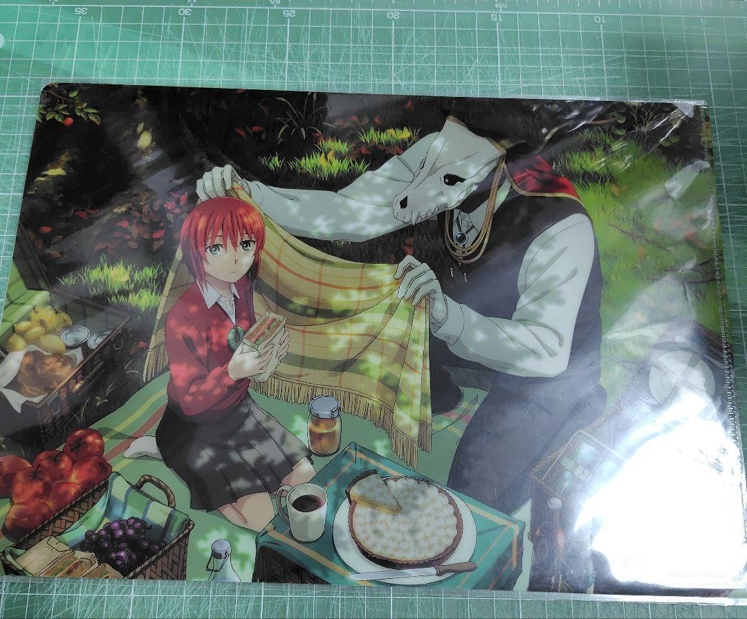 Amazon.co.jp: 魔法使いの嫁 クリアファイル チセ エリアス : おもちゃ