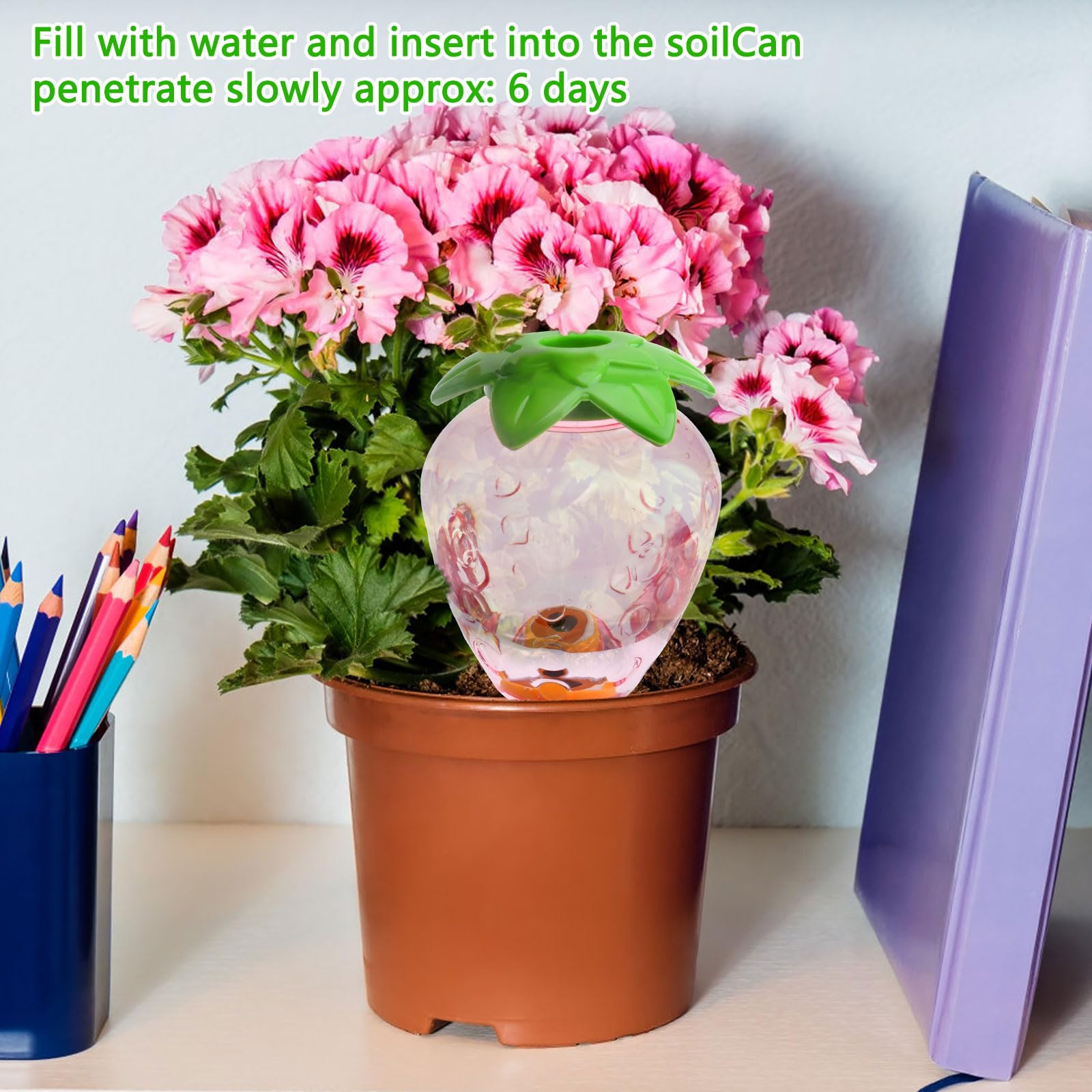 Tuxuseo Lot De 4 Grandes Boules D'arrosage | Piquets Boule | FindTheDeal