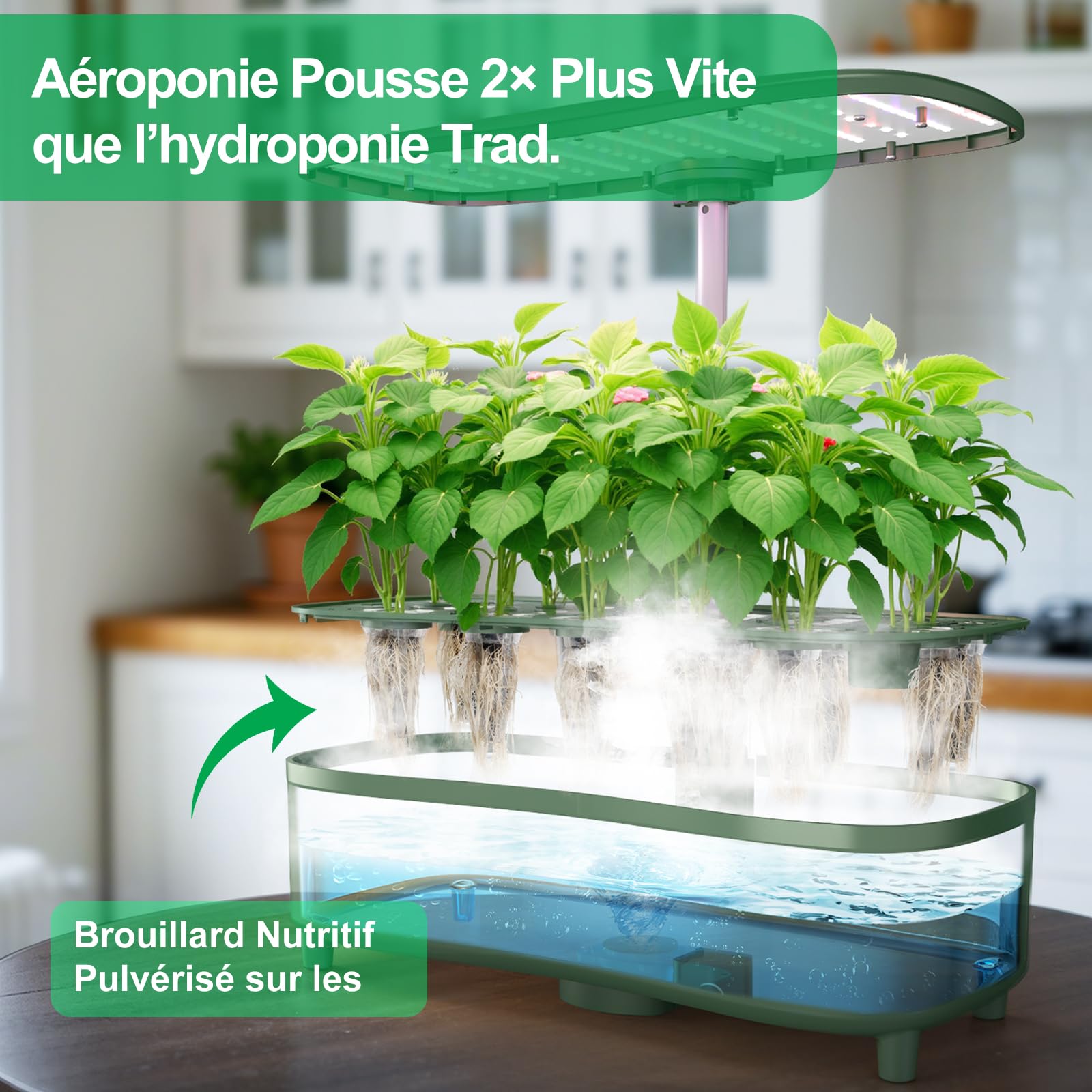 Système de Culture Hydroponique, Kit de Jardin d'herbes Intérieur 15 Pots, Smart Garden avec Minuterie, Lampe LED à Complet, Hauteur Réglable Jusqu'à 20", Réservoir de 5L