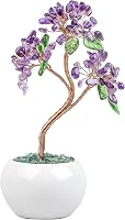 mookaitedecor Ametiszt Pénzfa Kristály Bonsai 16 cm - Feng Shui Szerencsehozó Dekoráció Kerámia Alappal Otthonra, Irodába

AI: I've created  1