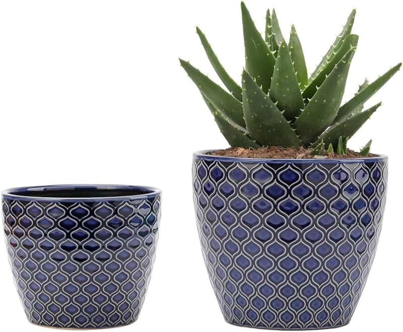 Indoor Planters with Drainage