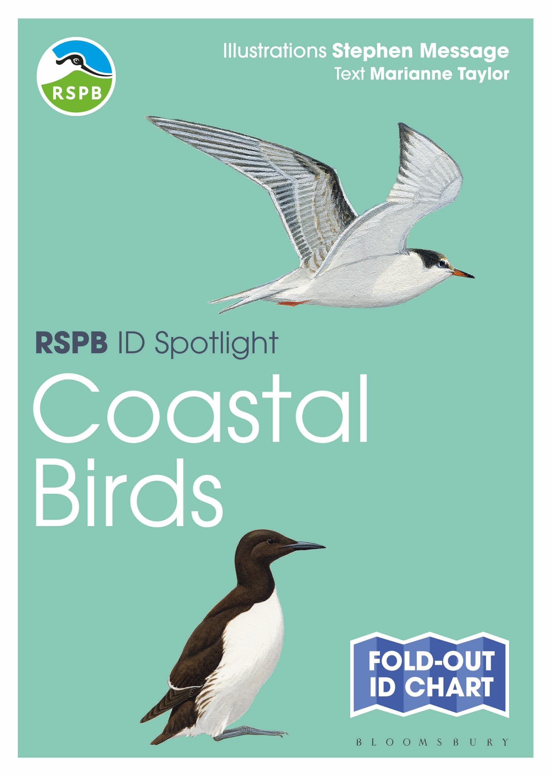 RSPB ID Spotlight - Coastal Birds: A safe and effective guide for pregnancy and motherhood