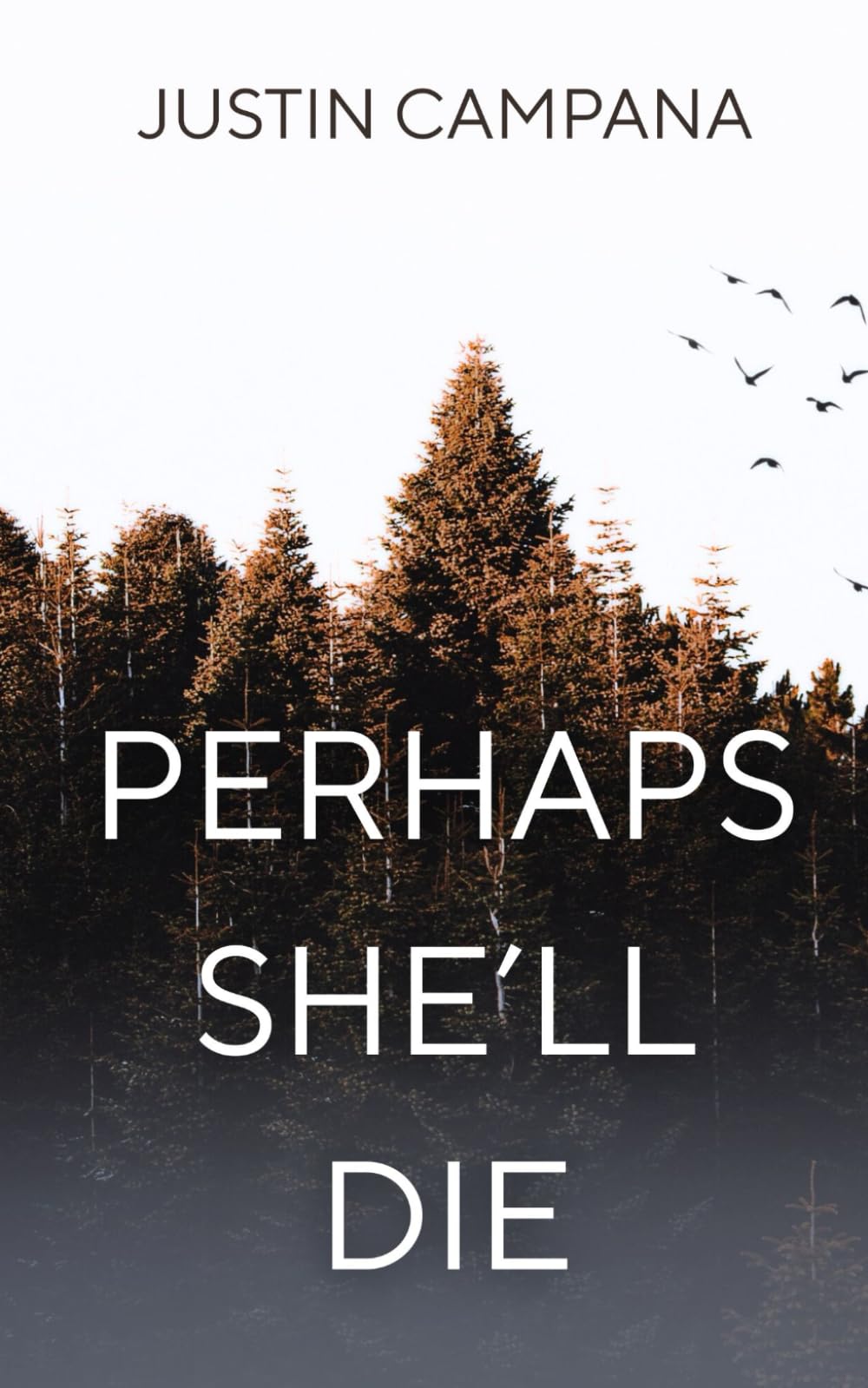Perhaps She'll Die: A Short Story (Detective Arthur Wright)
