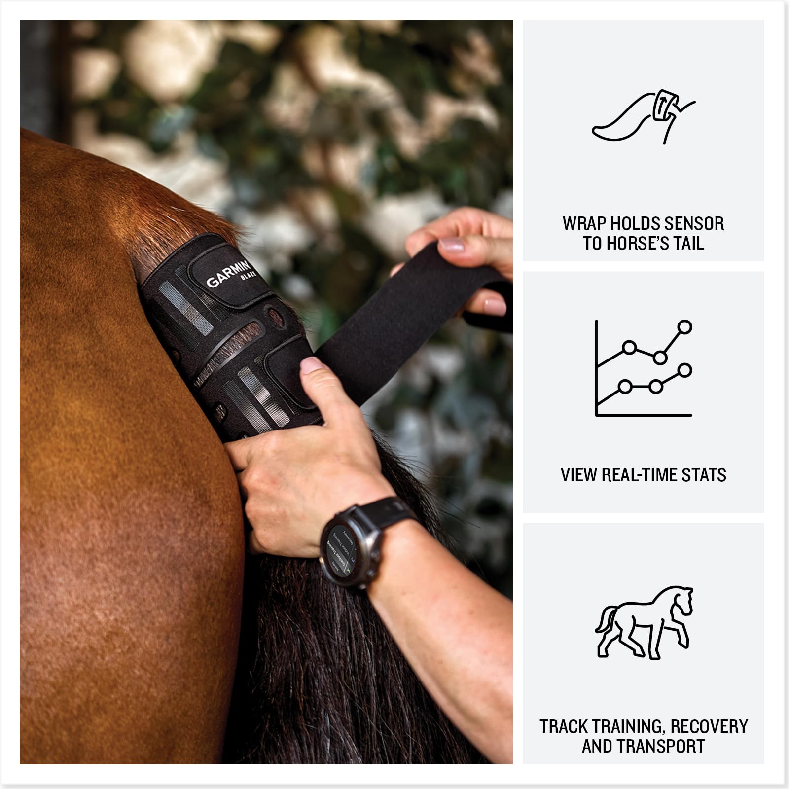 Garmin Blaze Equine Wellness System, avvolgimento e sensore per coda facili da usare, approfondimenti su salute e benessere