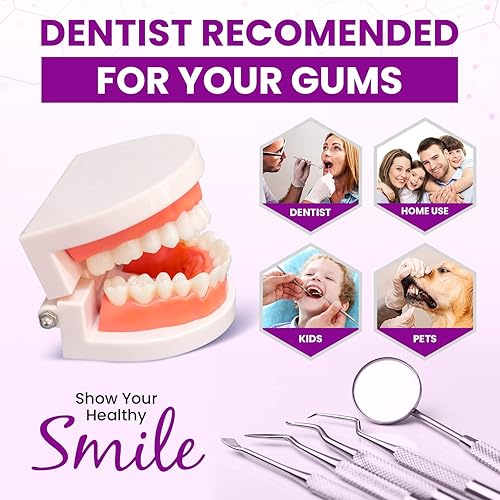 Vista 13 de Dental Duty Herramientas dentales, púa dental para herramientas de limpieza de dientes, removedor de placa para dientes con kit de limpieza