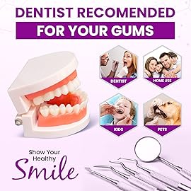 Dental Duty Dental Tools, Dental Pick for Teeth Cleaning Tools - Plaque Remover for Teeth with Teeth Cleaning Kit - Stainless Steel Dental Mirror for Teeth, Scraper and Scaler, (Purple)