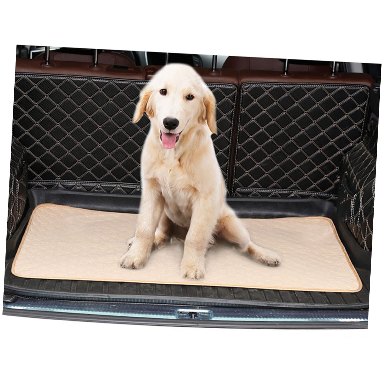 COLLBATH Tappetino Igienico Assorbente per Cani e Animali, Tessuto Delicato sulla Pelle, , Lavabile, per L'addestramento